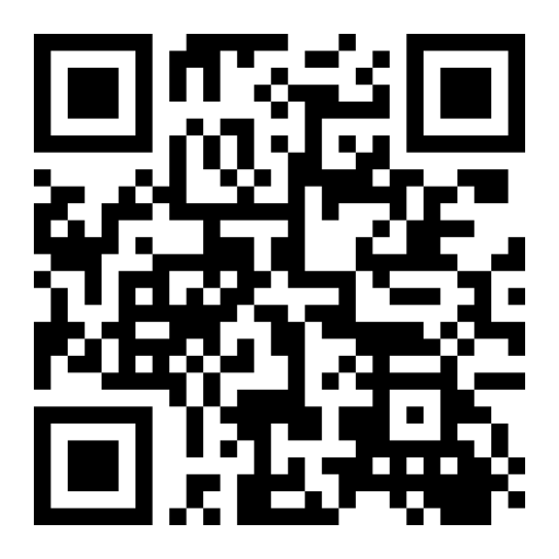 Previsualizacion del QR