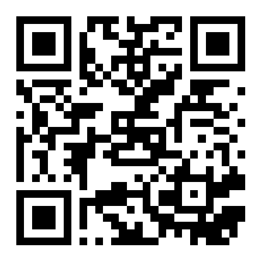 QR preview
