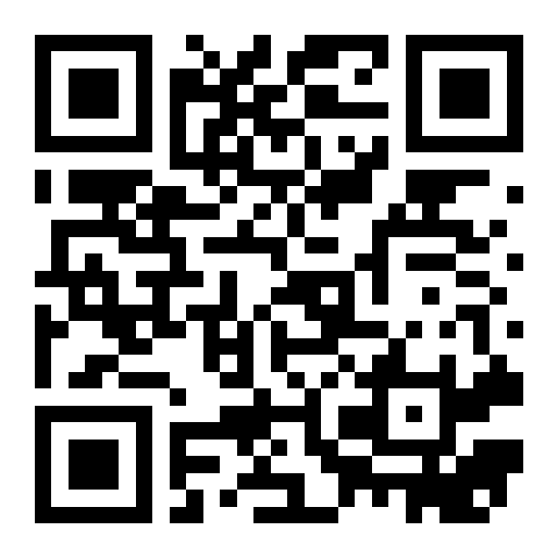 QR preview