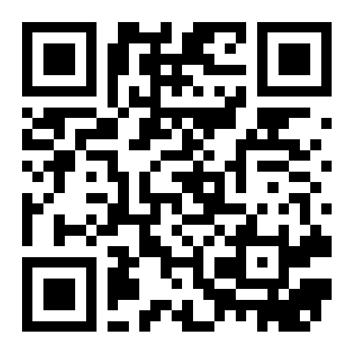 QR preview