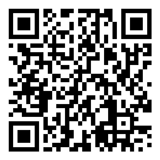 QR preview