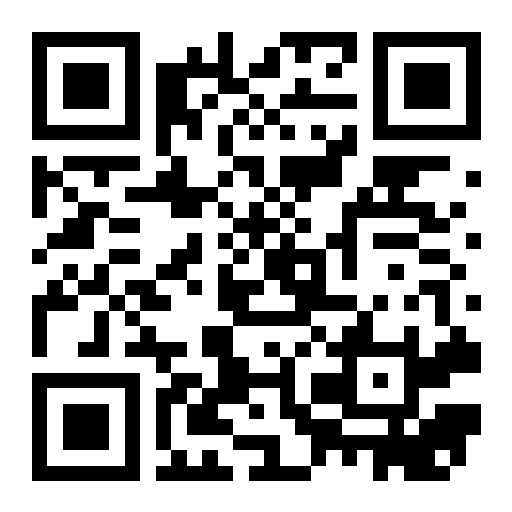 QR preview