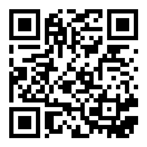 QR preview