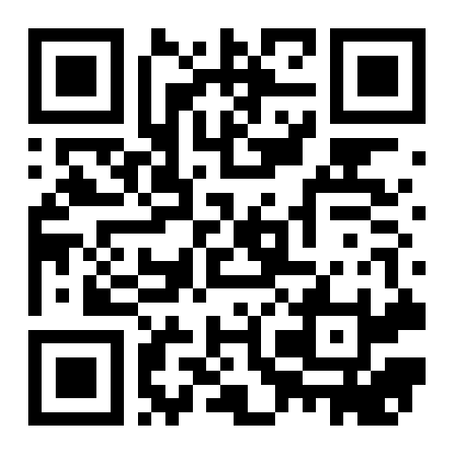 QR preview