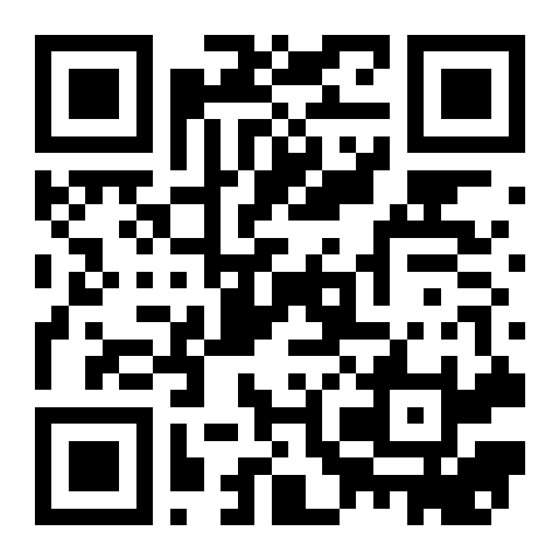 QR preview