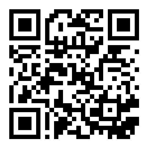 QR preview