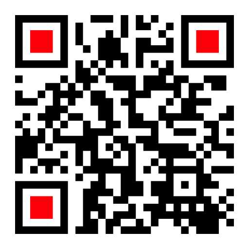 Previsualizacion del QR