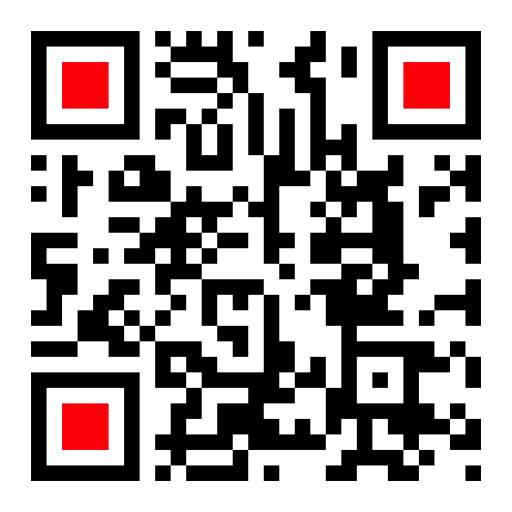 Previsualizacion del QR