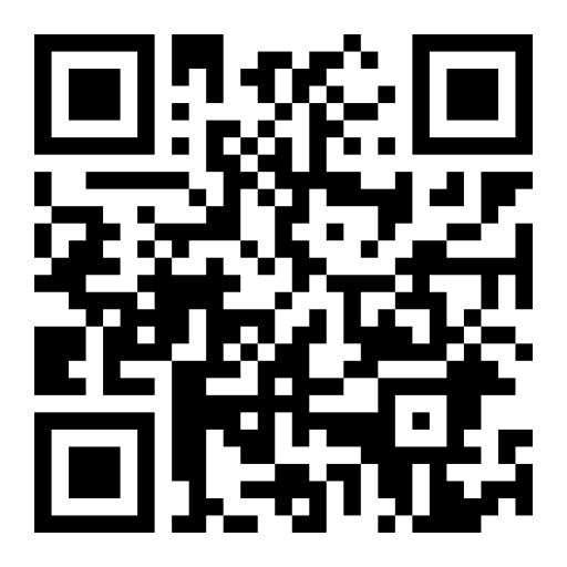 Previsualizacion del QR