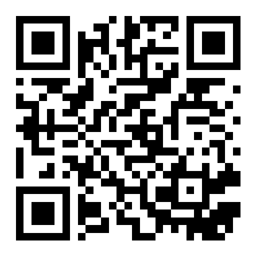 QR preview